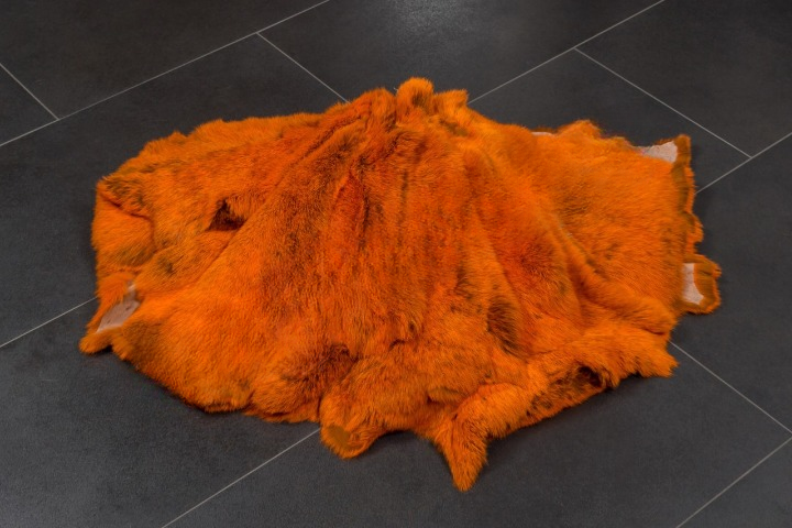 Images Fire Rabbit Wholesale Rabbit Skins — AGM GROUP