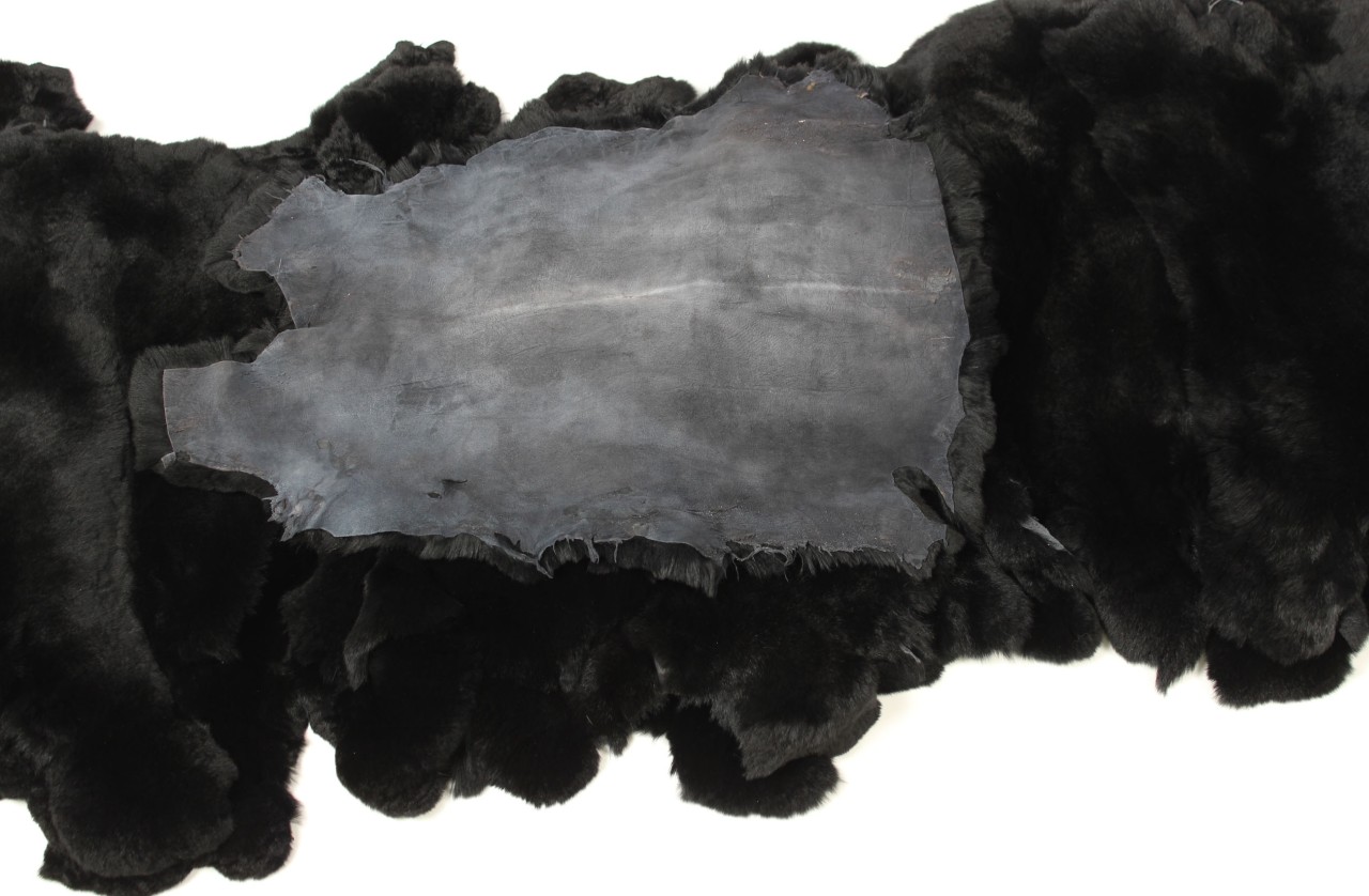 Rex Rabbit Skins - Black (Germany) — AGM GROUP